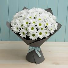 Букет цветов из:  Хризантемы #REPLACE_PRED# Грабово