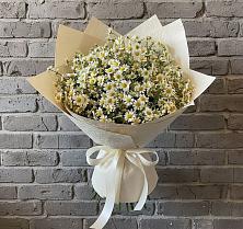 Букет цветов из:  Ромашки в Грабово