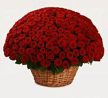 Премиум букет из: Розы #REPLACE_PRED# Грабово